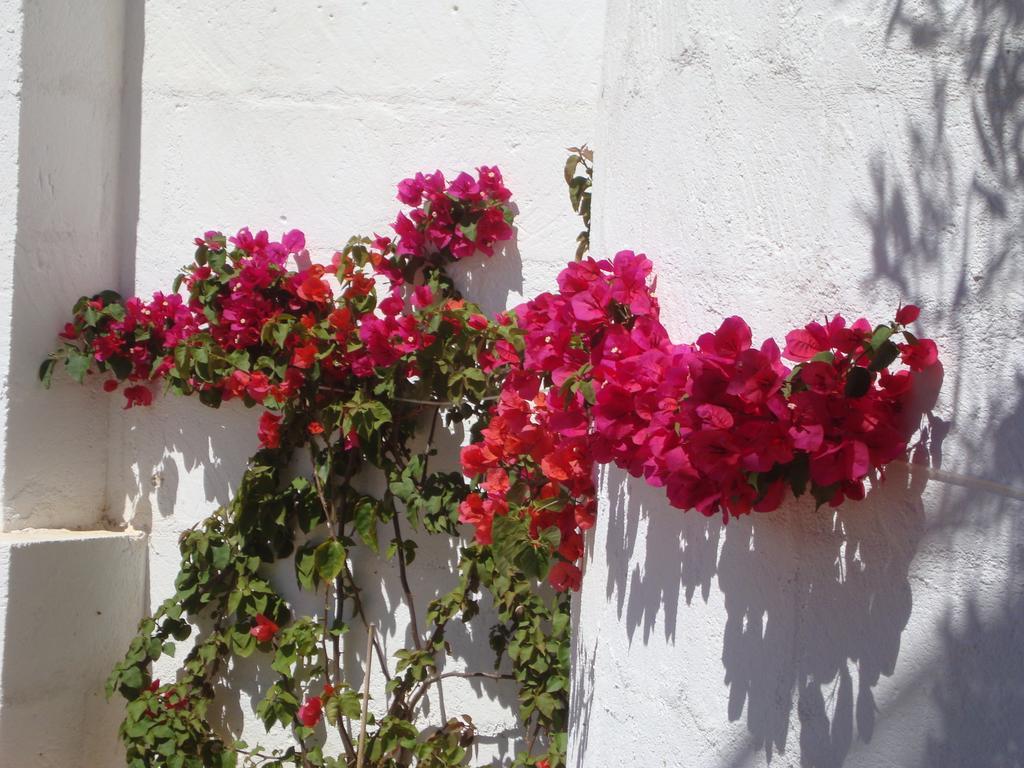 Masseria Bianca Di Puglia Monopoli Bilik gambar